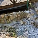 Quinta Lagus - *