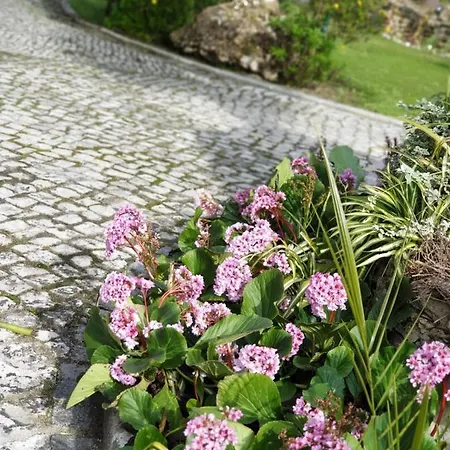 Quinta Lagus - Country house *