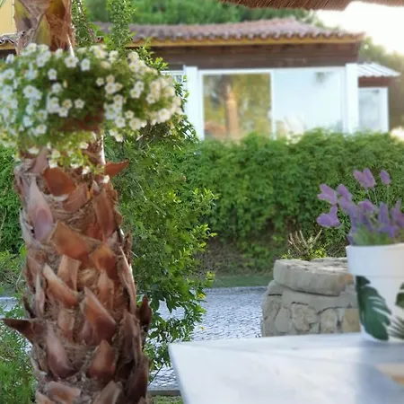 Quinta Lagus - Casa rural Palmela