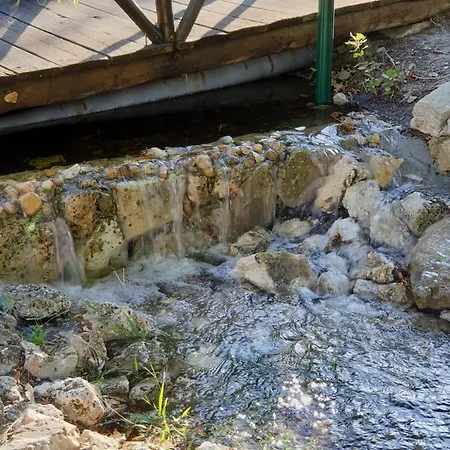 Quinta Lagus - *