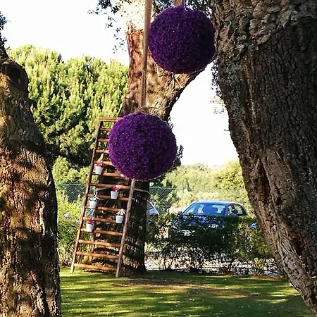 Quinta Lagus - Palmela