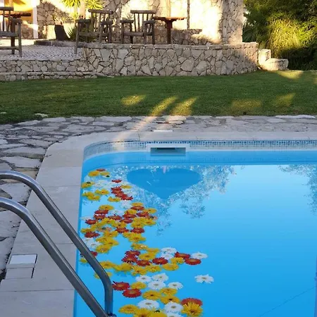 Quinta Lagus -