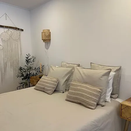 Quinta Lagus - *