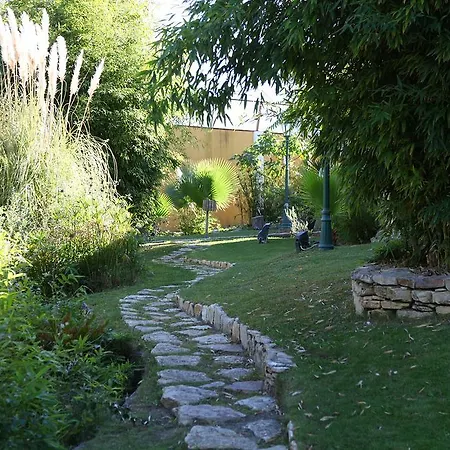 Quinta Lagus - *