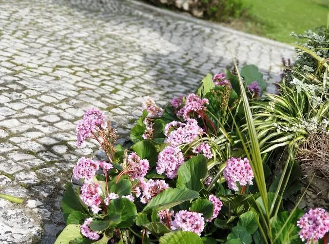 Quinta Lagus - Casa de Campo *