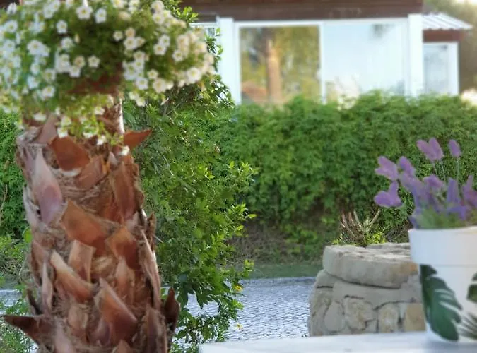 Quinta Lagus - Casa de Campo Palmela